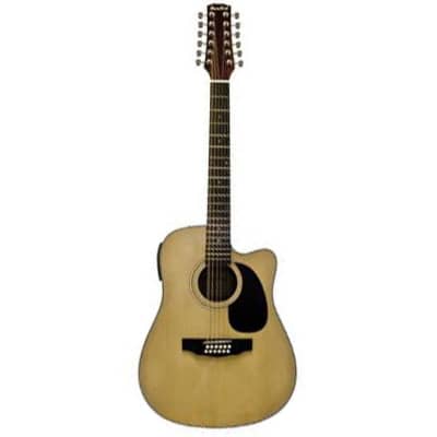 Beaver Creek Dreadnaught 12 String Acoustic Electric w/Bag BCTV05CE for sale