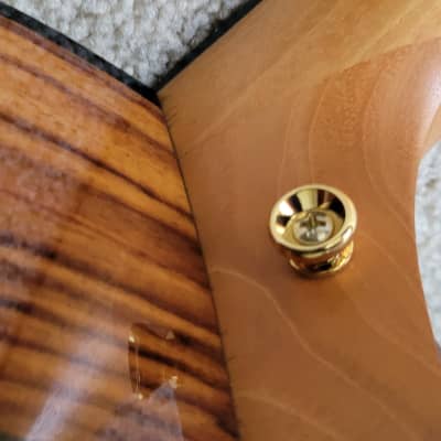 Taylor 217e-SB Plus LTD 50th Anniversary Acoustic Electric Guitar, Tobacco Sunburst, Taylor Case image 11