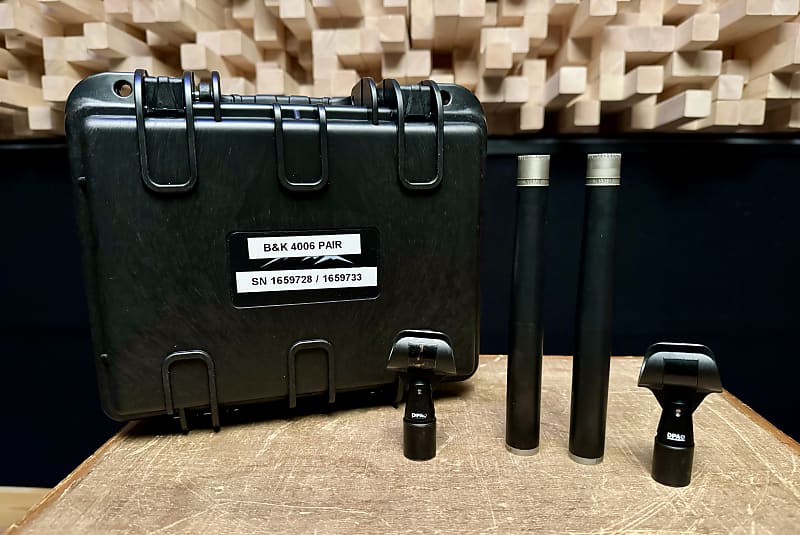 Vintage Brüel and Kjær (Former DPA) B&K 4006 | Reverb Canada