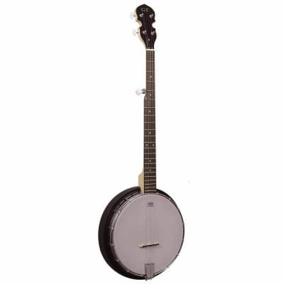 Gold Tone GT Series AC-5 5-String Composite Banjo (VAT) image 2