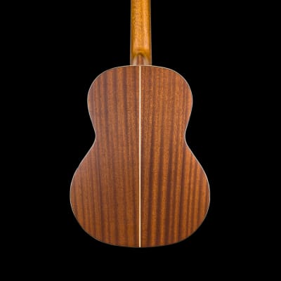Kremona Artist Series Sofia Solid Cedar Top Nylon String Classical Acoustic Guitar With Gig Bag image 3