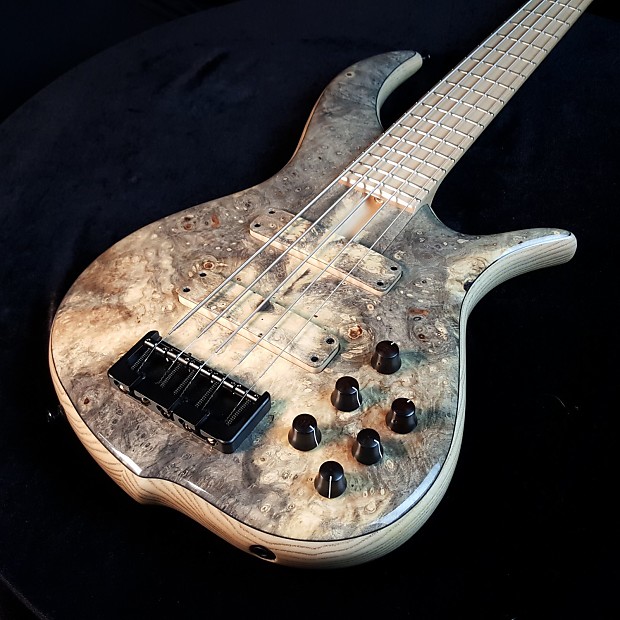 F Bass BN5 Buckeye Top 5 String Bass with Bag Reverb