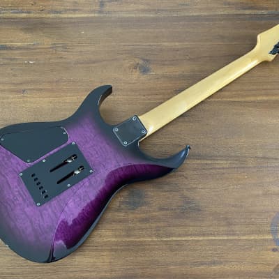 最新の激安 FERNANDES HSS ギター エレキギター - campella.com.br