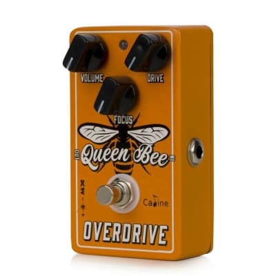 Caline CP-503 "Queen Bee" Overdrive Guitar Effect Pedal image 5
