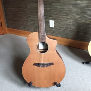 Breedlove AN250 CR/SYN  Natural image 1