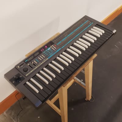 Korg Poly-800 1980s Special Reverse Edition *SERVICED*, Vintage Case