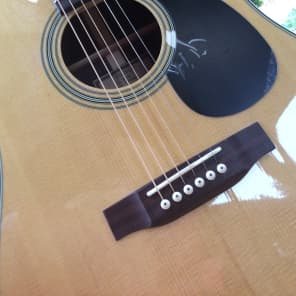 Sigma SD28 Acoustic Guitar, w/HSC & 12 choice points image 7