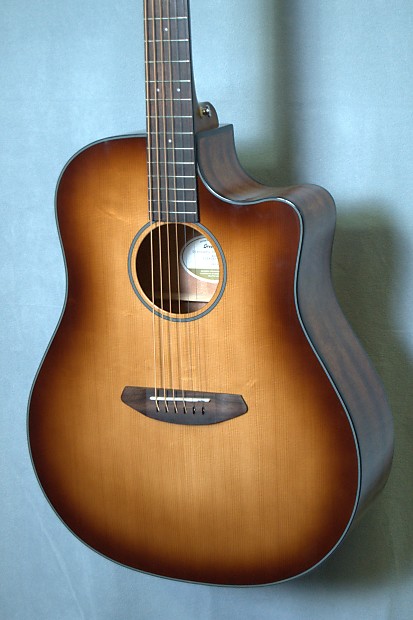 Breedlove discovery dread clearance ce