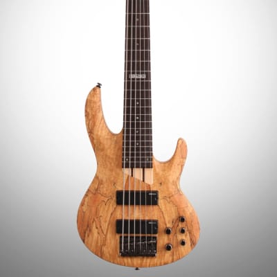 ESP LTD B206SM Electric Bass, 6-String, Natural Satin image 2