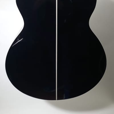 Washburn  EA12B-A Acoustic/Electric Guitar Glossy Black Finish image 6