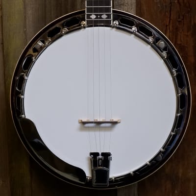 Recording King RK-R20 Songster Resonator Banjo - Natural for sale