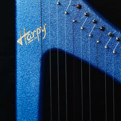 22 String Iris Harpy - Electric-Acoustic Harp - Blue image 14