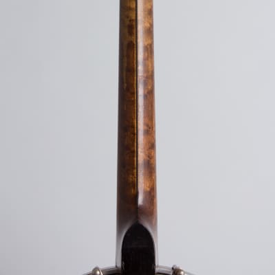 Lyon & Healy  Washburn Style A Tenor Banjo,  c. 1925, period black hard shell case. image 9
