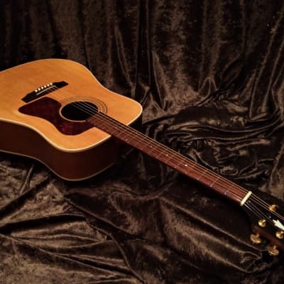 Guild DV6 1997 Westerly Rhode Island Dreadnought Acoustic Mahogany Back and Sides like a D40 D18 image 6