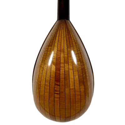 Pasquale Vinaccia Mandolin from 1883 image 10