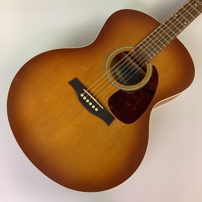 Seagull Entourage Rustic Mini Jumbo | Reverb Canada