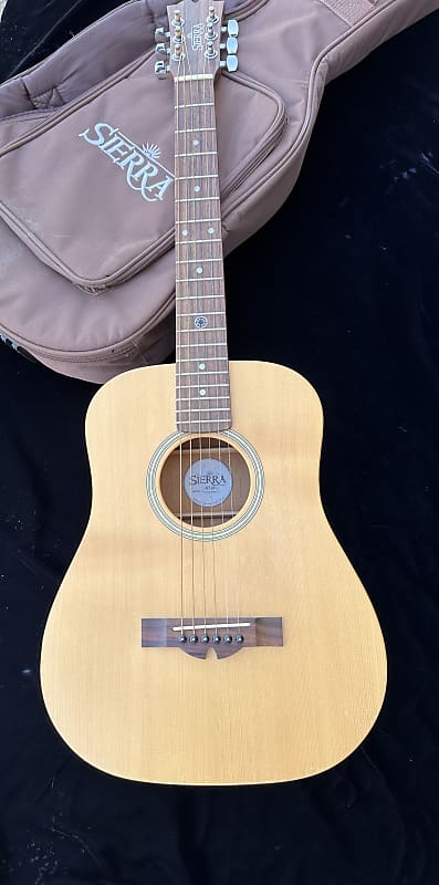 Sierra ST-10 with Gig Bag | Reverb Sierra ST-10 with Gig Bag | Reverb
