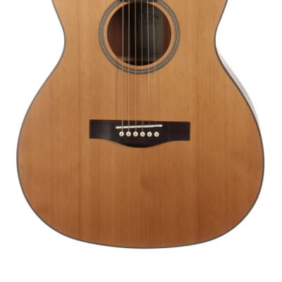 Teton STG105NT Grand Concert Guitar ONLY, Solid Cedar Top, Mahogany Veneer Back & Sides image 3