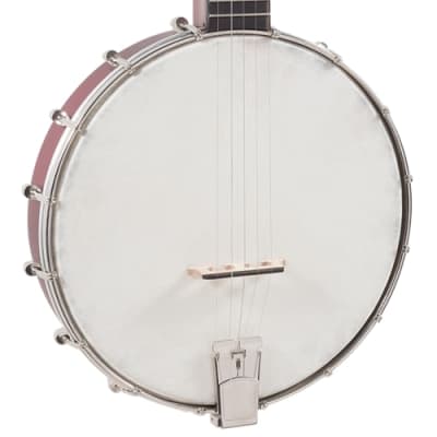 Recording King RKH-05 Dirty 30s Resonator Banjo, Satin image 3