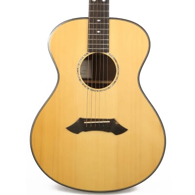 Breedlove SC20/B Brazilian Rosewood Acoustic Guitar for sale