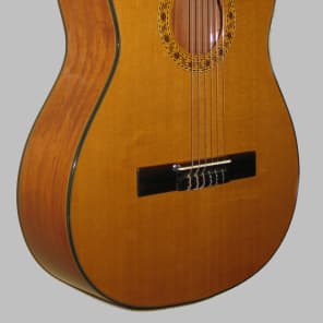 Giannini Classical Guitar All Solid Wood Made in Brazil w/Giannini Gig Bag image 4