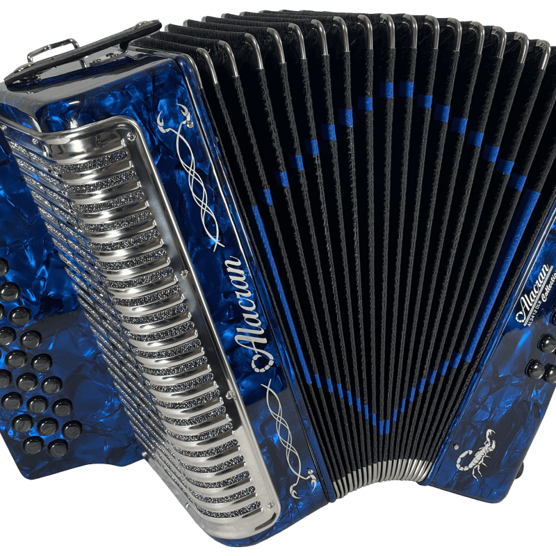 Rossetti Valentino FBE 31 Button Diatonic Accordion With Hard Case