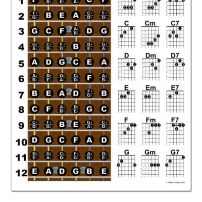 New Song Music Guitar Fretboard & Chord Chart Instructional | Reverb