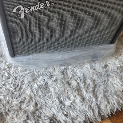 Fender bassman store 25 amp