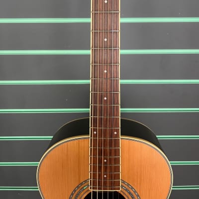 Washburn WP21SENS Satin Natural 2015 Electro Acoustic Parlor