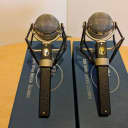 Pair Blue Dragonfly Large Diaphragm Cardioid Condenser Microphones (Pair)