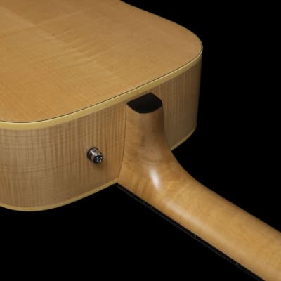 Norman B50 048540  / 050499 12 String Acoustic Electric Guitar Natural HG Element with Carrying Bag MADE In CANADA image 10