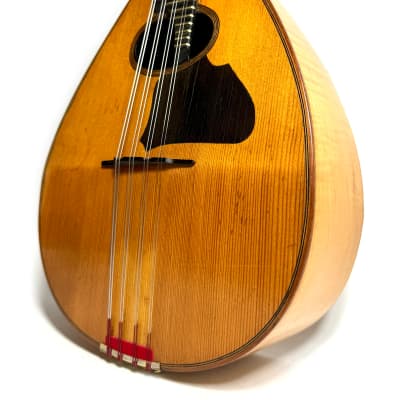 Concert Mandolin Flat-Back Emanuele Egildo N°840 from 1927 image 3