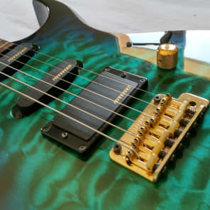 Fernandes - 【極美品/生産完了モデル】Fernandes FGZ-420