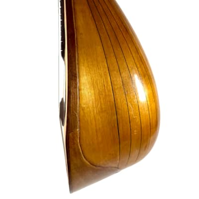 Concert Mandolin Emanuele Egildo N°299 from 1912 image 7