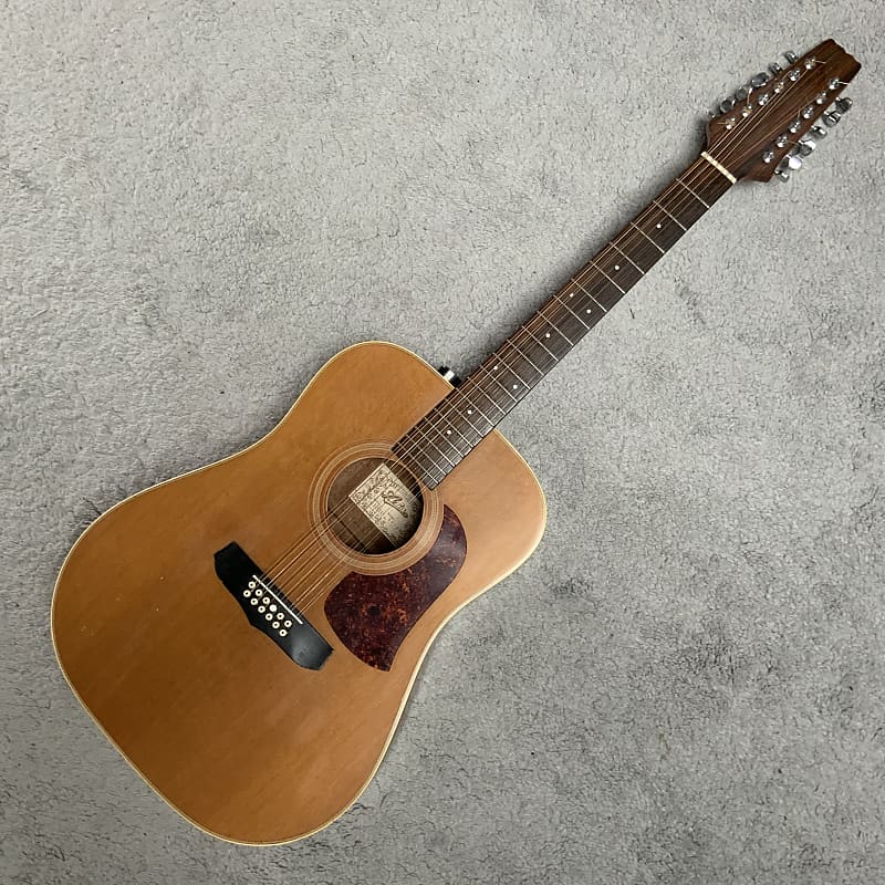 Aria LW 12T 12 String - Early 1990's Natural Finish | Reverb