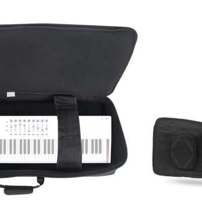 Arturia RackBrute Travel Bag | Reverb
