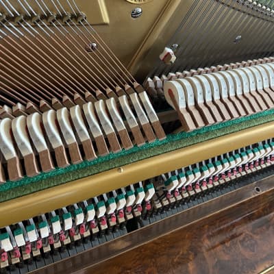Extremely Beautiful Antique Bechstein Upright Piano 1894 Burr Walnut Fully Restored With Guarantee image 9