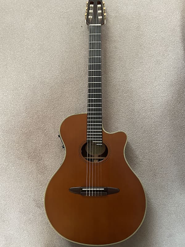 Rare Collectors Stereo Guitar Yamaha APX-10CN | Reverb