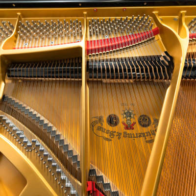 Chickering GH162 Grand Piano | Polished Ebony | SN: 77341 image 5