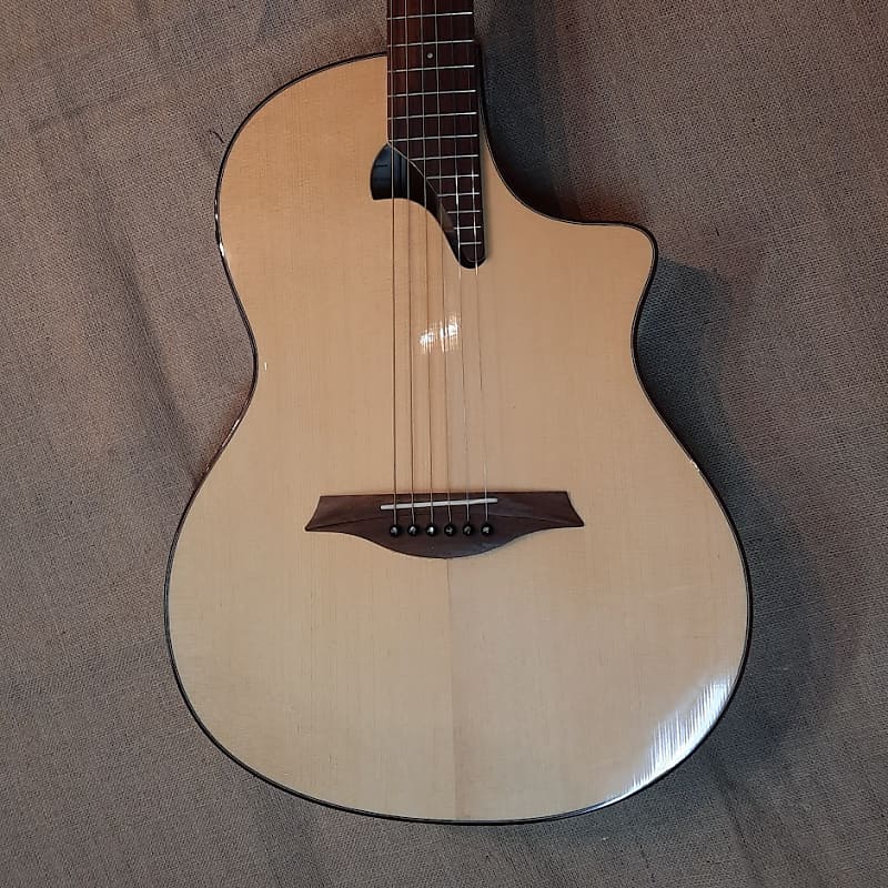 Mayson PS-300 Performer acoustic model