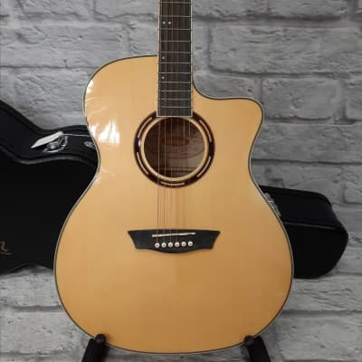 Washburn AG40CEK-A-U Arch top Guitar w/Hardcase image 3