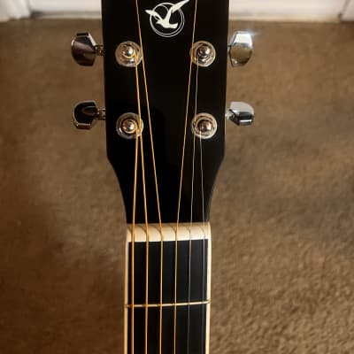 Acoustic Guitar w/ Case (Trumon TF05) - Beginner Bundle - BRAND NEW image 9