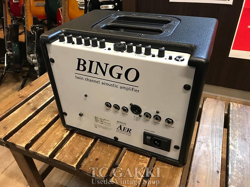 AER BINGO 2 アコースティックギターアンプ - 楽器、器材