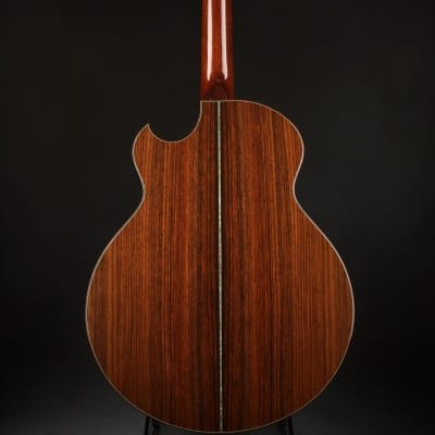 Ryan Cathedral Grand Fingerstyle - Sitka Spruce & Indian Rosewood 2003 *VIDEO* image 4