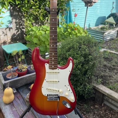 1982 Fender Stratocaster Dan Smith-era Sienna Burst Rosewood Near Mint!!! image 1