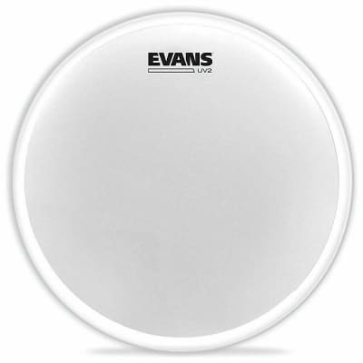 Evans UV2 Coated Drum Head, 16 Inch B16UV2 image 2