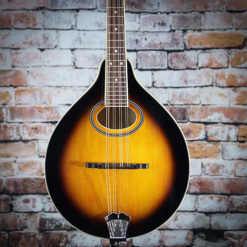 Gold Tone GM-50+ A-Style Mandolin With Pickup image 1