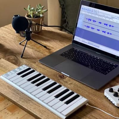 Xkey 25 USB MIDI keyboard controller - Apple-style ultra-thin aluminum frame, 25 full-size velocity-sensitive keys, polyphonic aftertouch, plug & play on iPad, iPhone, Mac, PC image 5