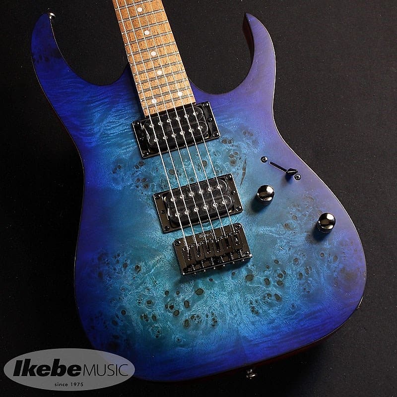 Ibanez RG421PB-SBF [Special price] | Reverb
