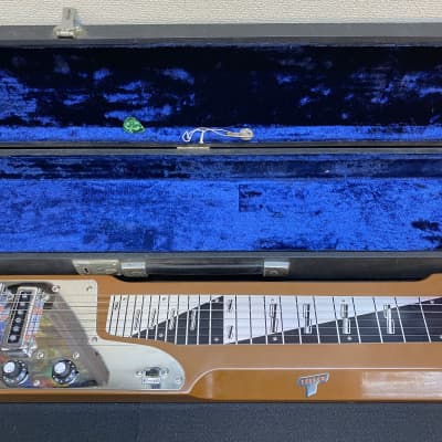 Rare Teisco TRH-1 lap slide, steel guitar with case-Sounds amazing! image 5